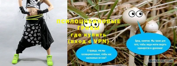 спайс Пересвет