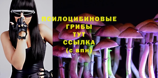 эйфоретик Бугульма