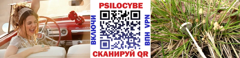 Псилоцибиновые грибы GOLDEN TEACHER  Обь 